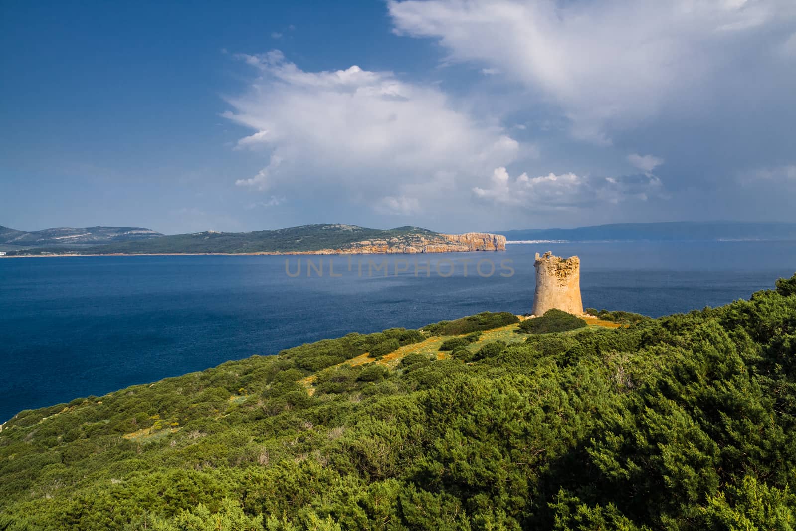 Tower near the sea. Capo Caccia. Sardinia island. Italy by rainfallsup