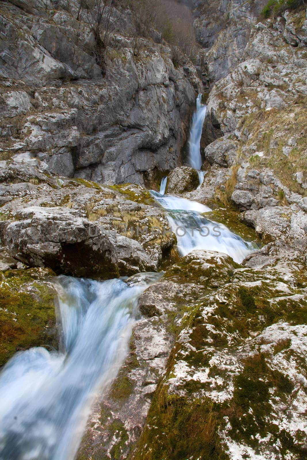 Source of Socha river in Slovenia
