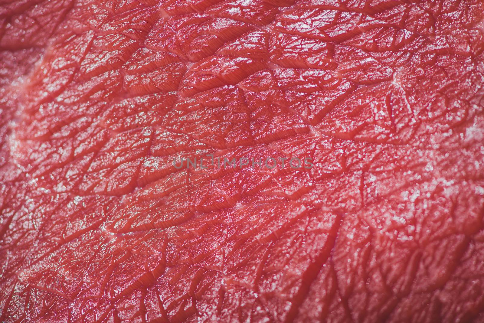 Close-up of raw beef texture background