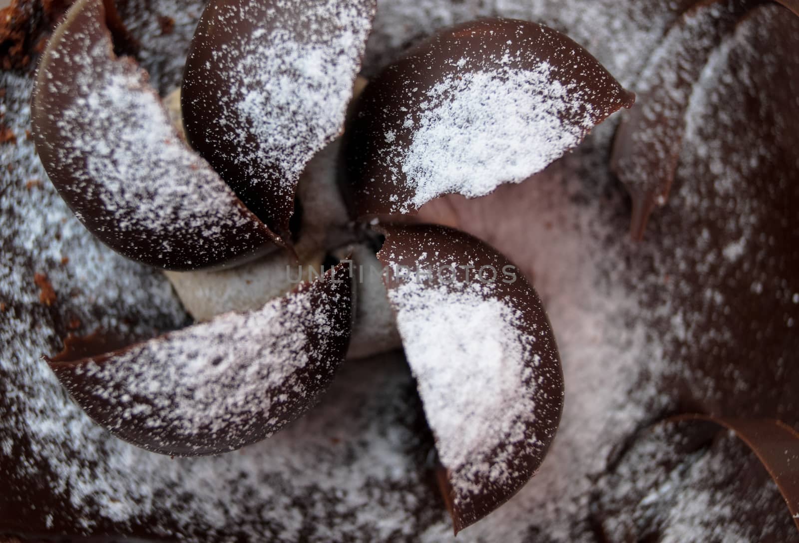 chocolate decor on the cake food