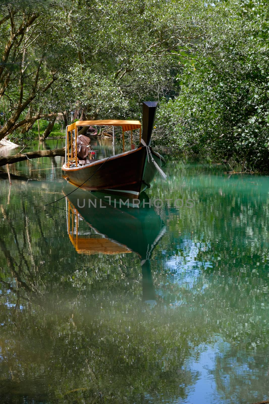 Thai longtail boat in the river