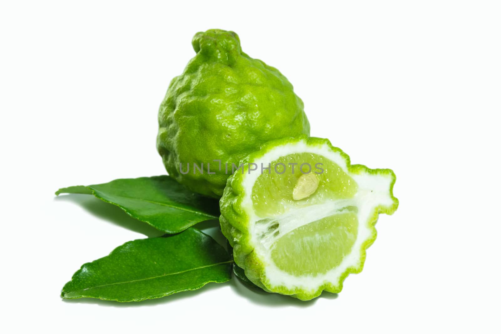 Bergamot isolated white background.