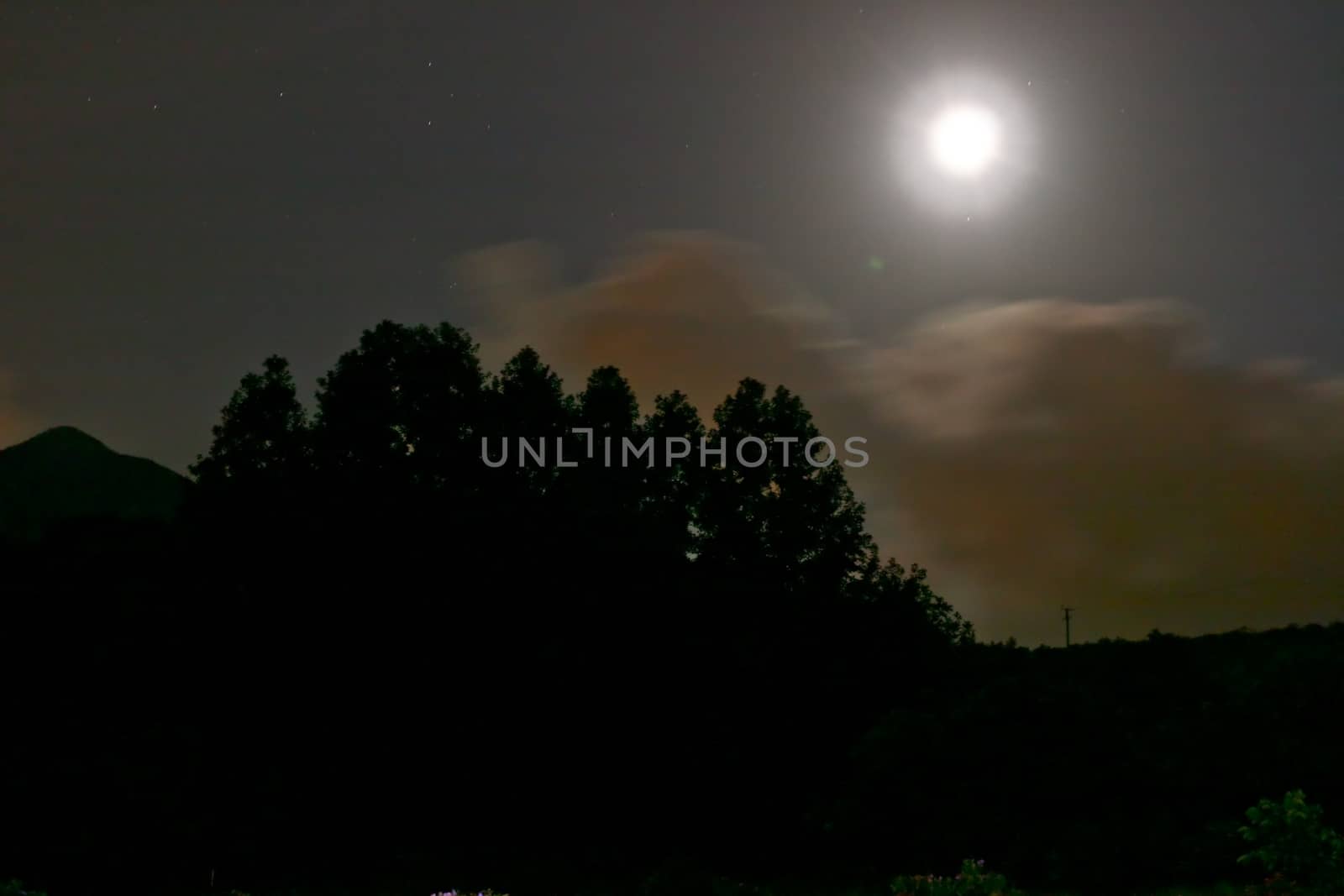 Moon with trees and clouds