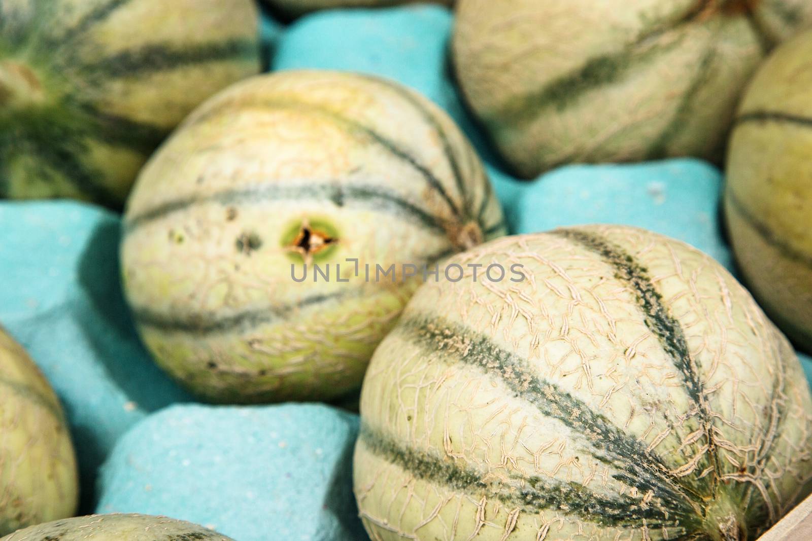 Charentais melons at farmer's market by pixinoo