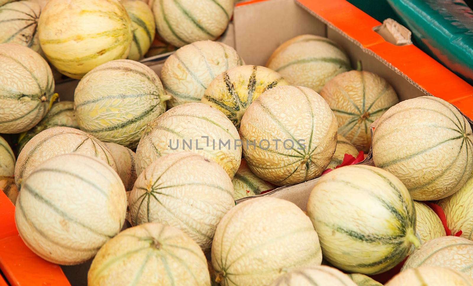 Charentais melons at farmer's market by pixinoo