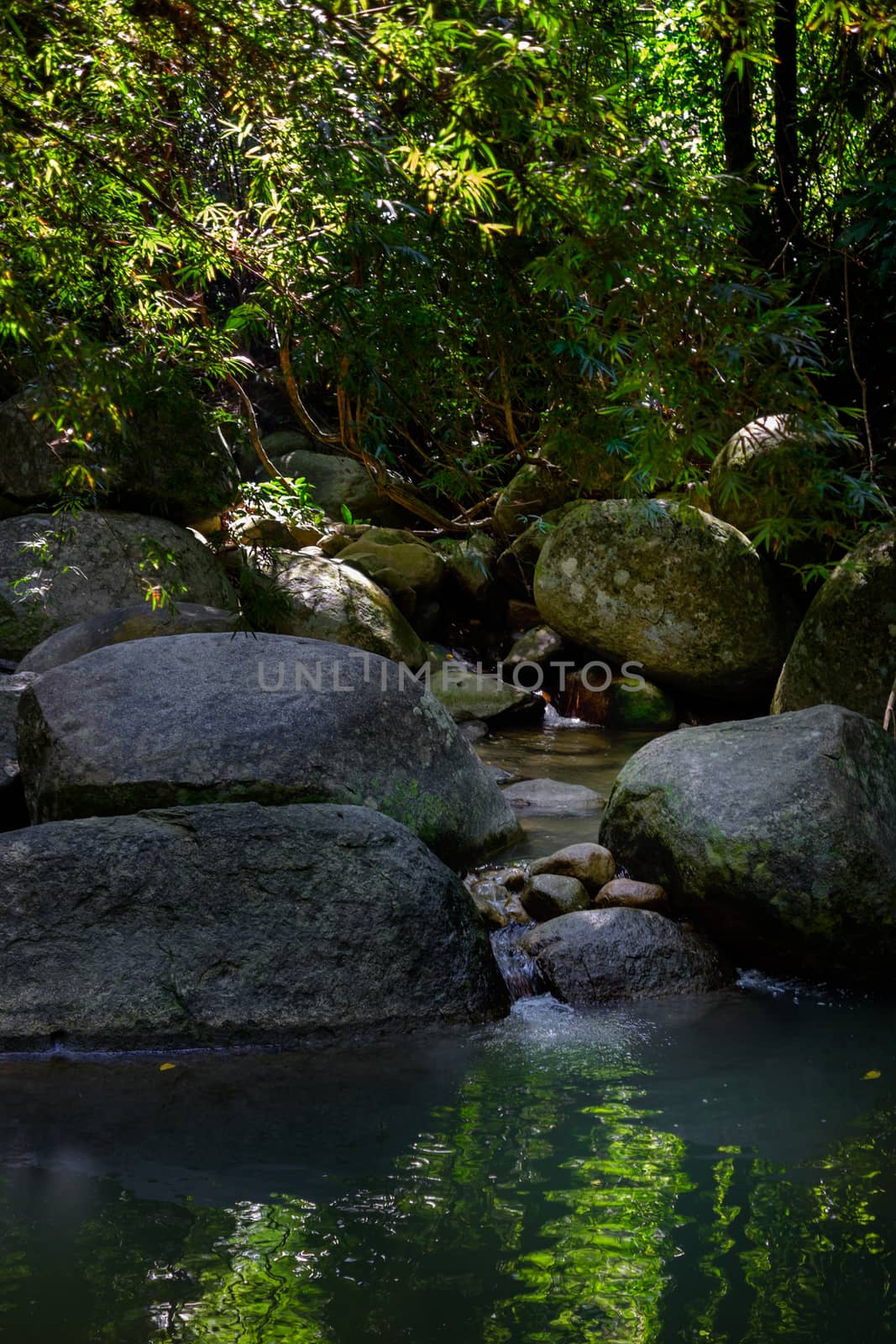 Brook waterfalls in the stones