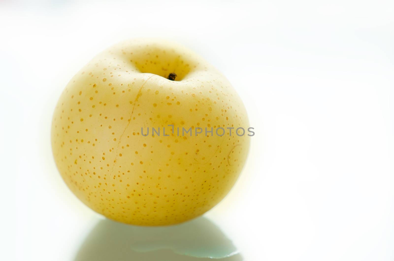 Pyrus pyrifolia. Chinese pear. by rainfallsup