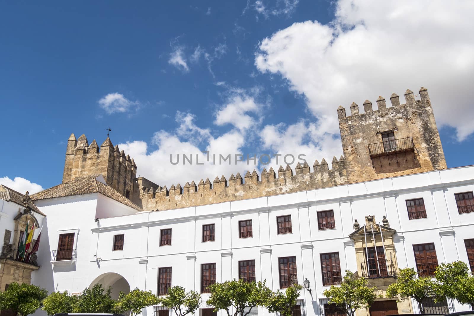 Ducal castle of Arcos de la Frontera by max8xam