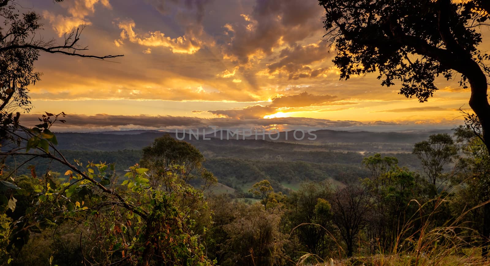 Sunset in Kondalilla national parc. Australian viewpoint landscape