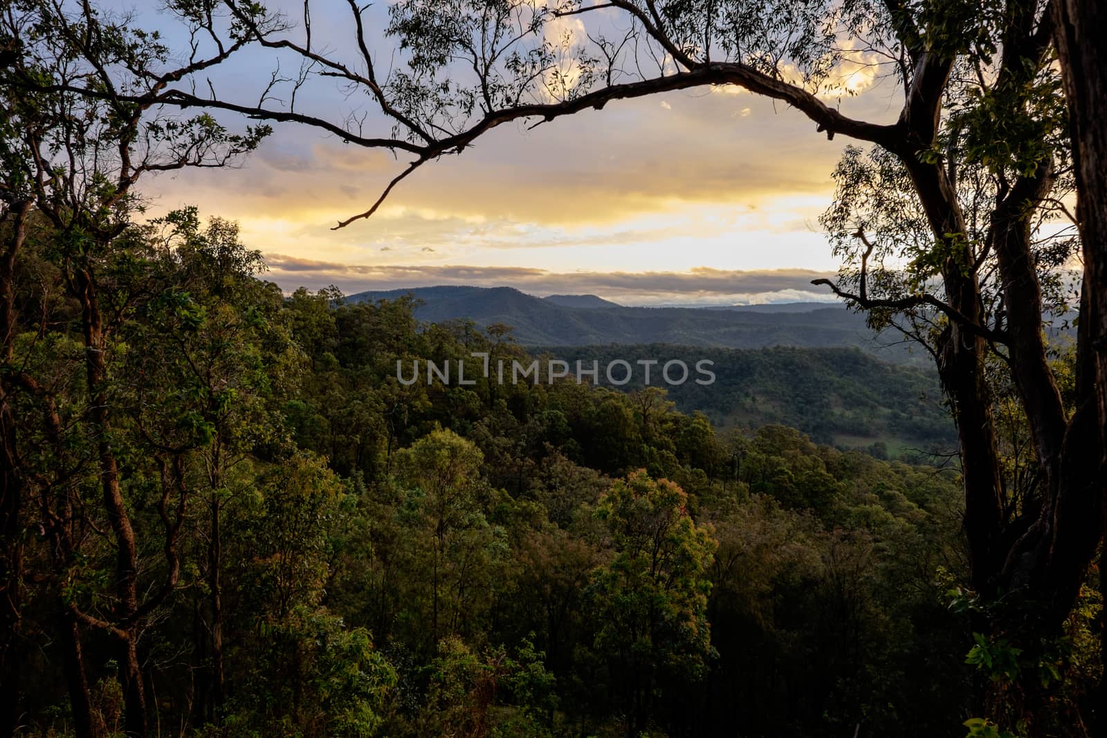 Sunset in Kondalilla national parc. Australian viewpoint landscape