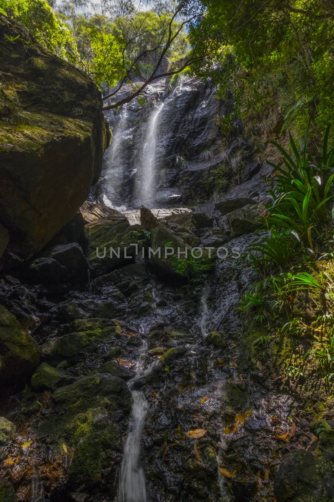 Waterfall in Springbroo by rainfallsup