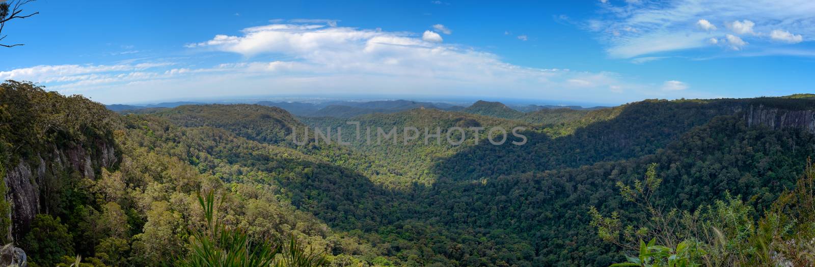 Canyon lookout, Springbrook national parc. Australia by rainfallsup