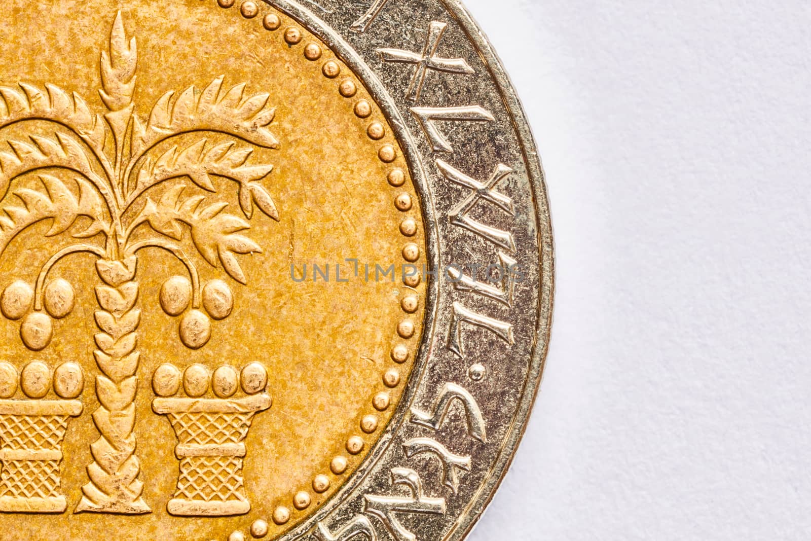 Ten shekel coin macro isolated on white surface