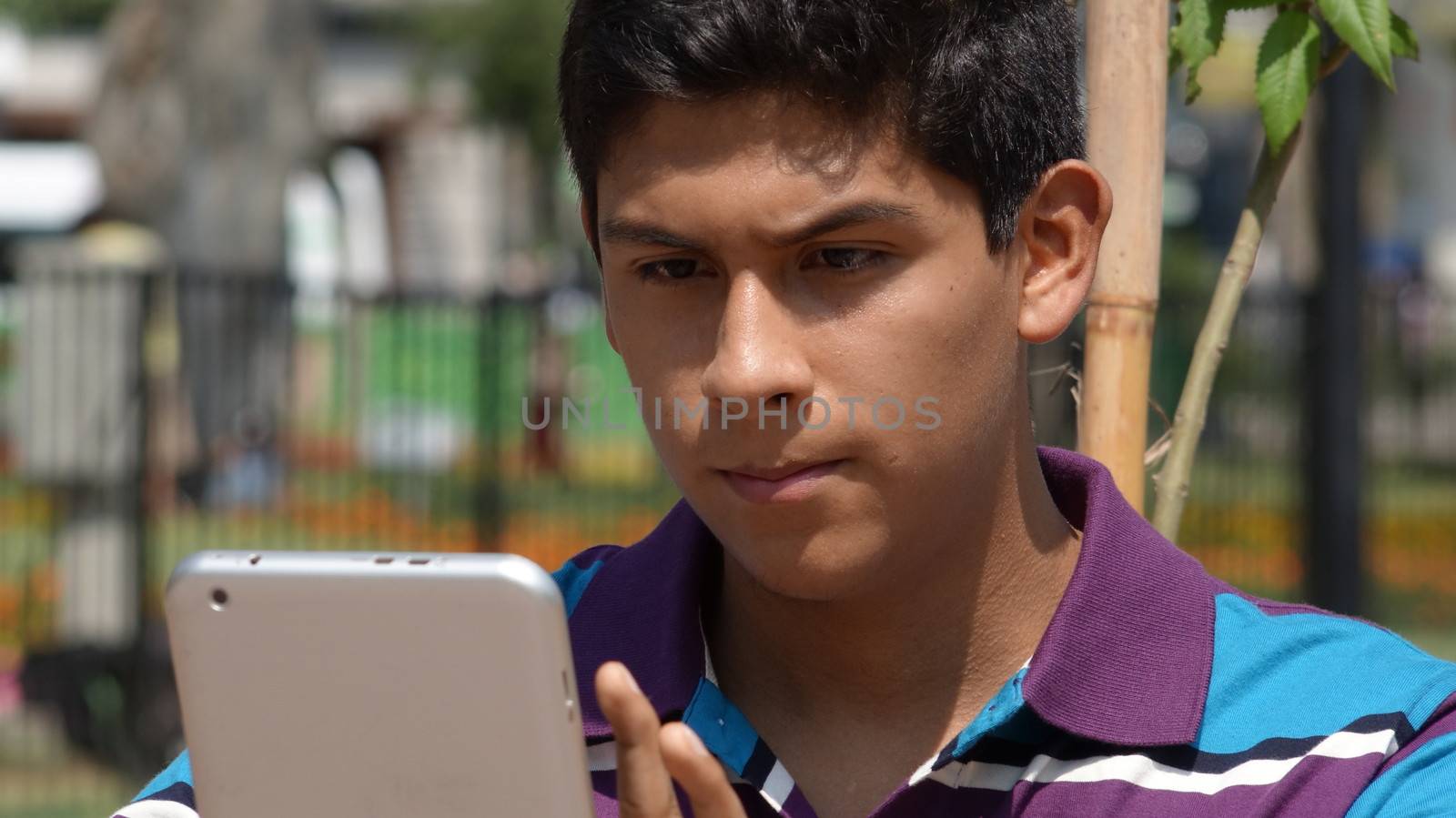 Serious Teen Boy Using Tablet by dtiberio