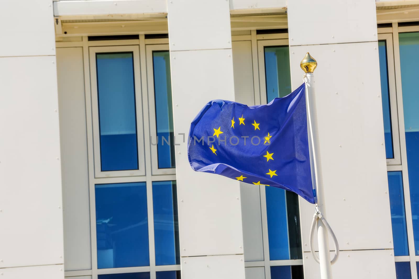 Standard waving flag of the European Union with building business on background by pixinoo