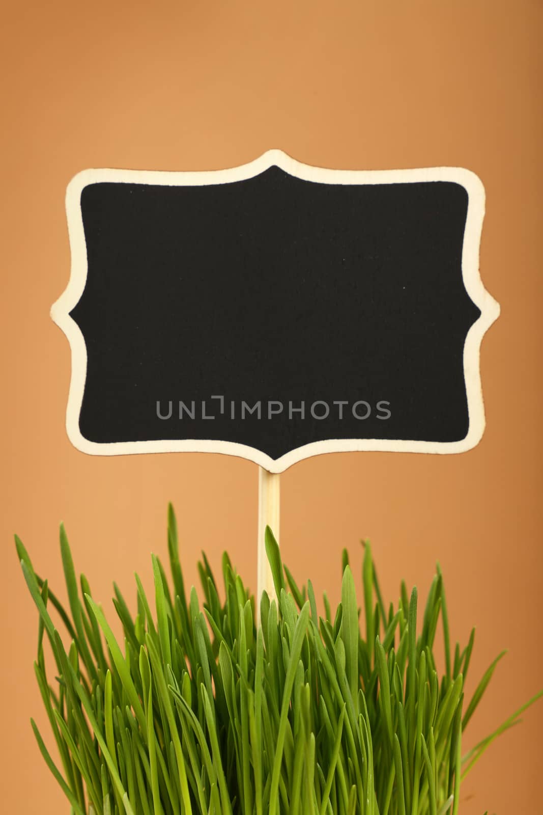 Fresh spring green grass with black chalkboard sign copy space, close up over brown kraft paper parchment background, low angle side view