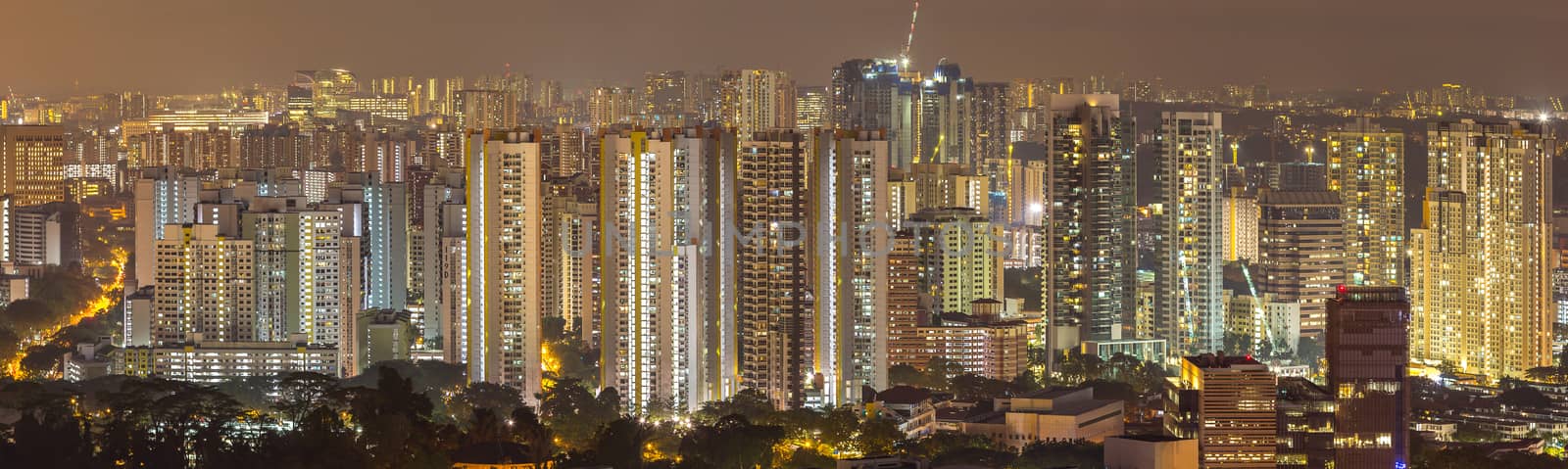 Panoramic of Singapore skyscraper at night