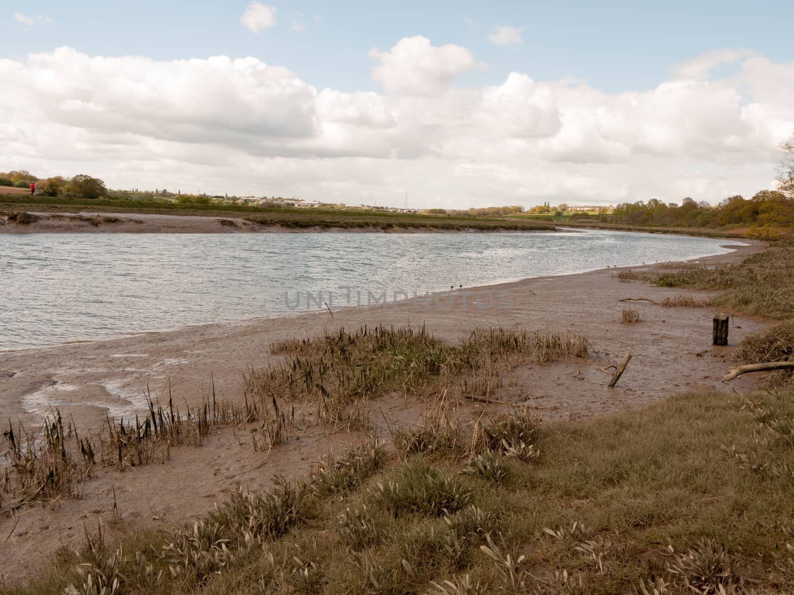 A Waterway River Through the UK with Low Tide and Birds Wading in the Water and the Mud Bank with A Cloudy Blue Sky and Brown Grassy Land in Spring