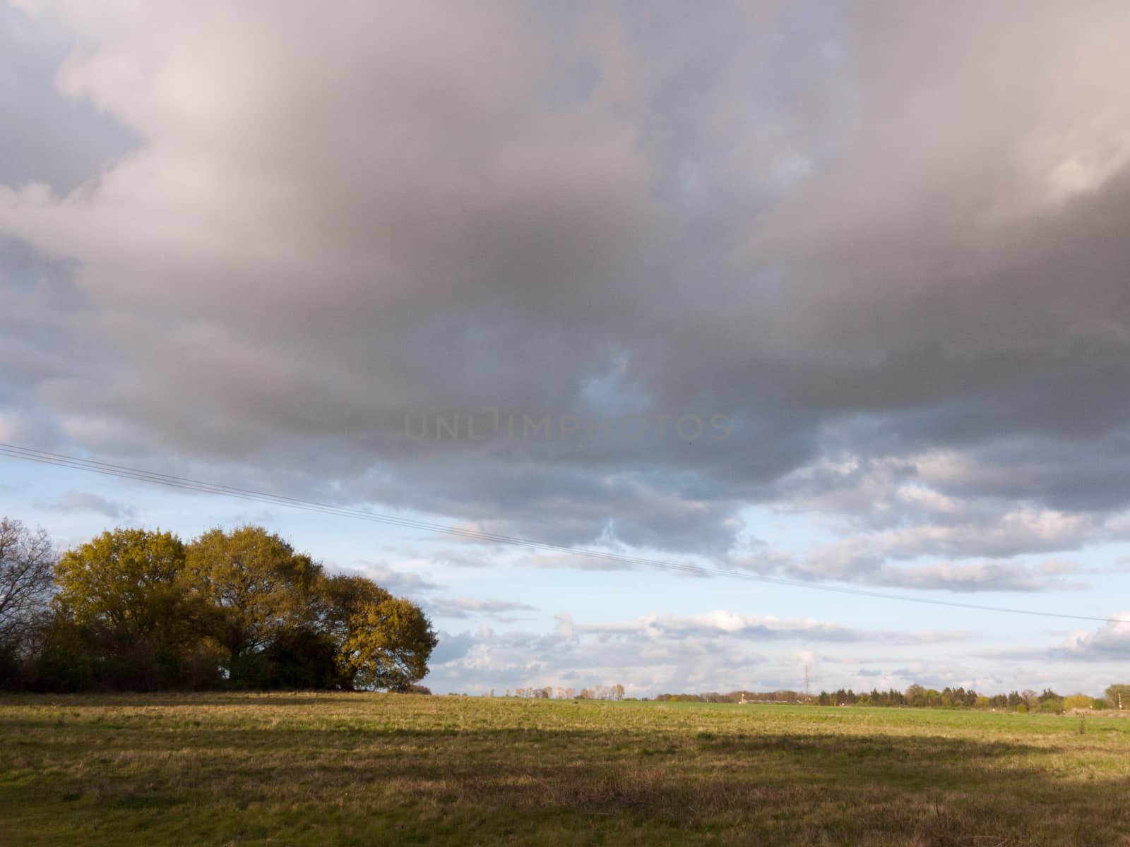 wonderful full detail landscape shots of the farm in the country with an open field and some trees and forest in the distance with plenty of white thick clouds overhead in spring