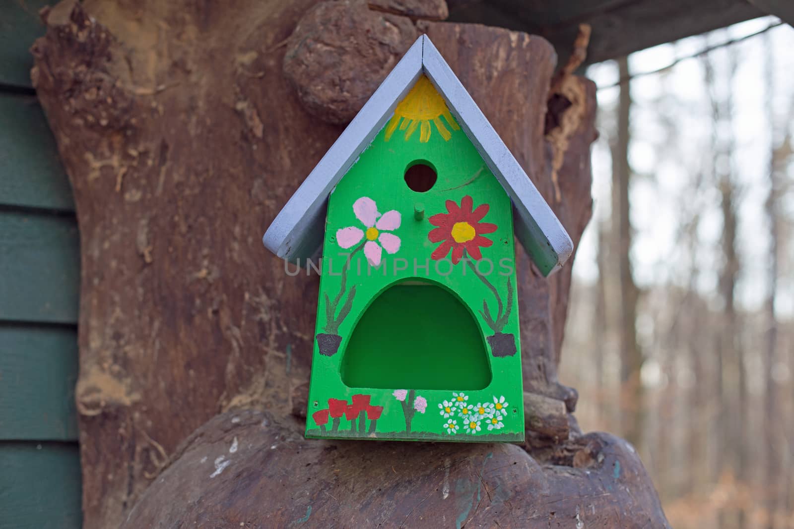 One little bird house on a tree trunk