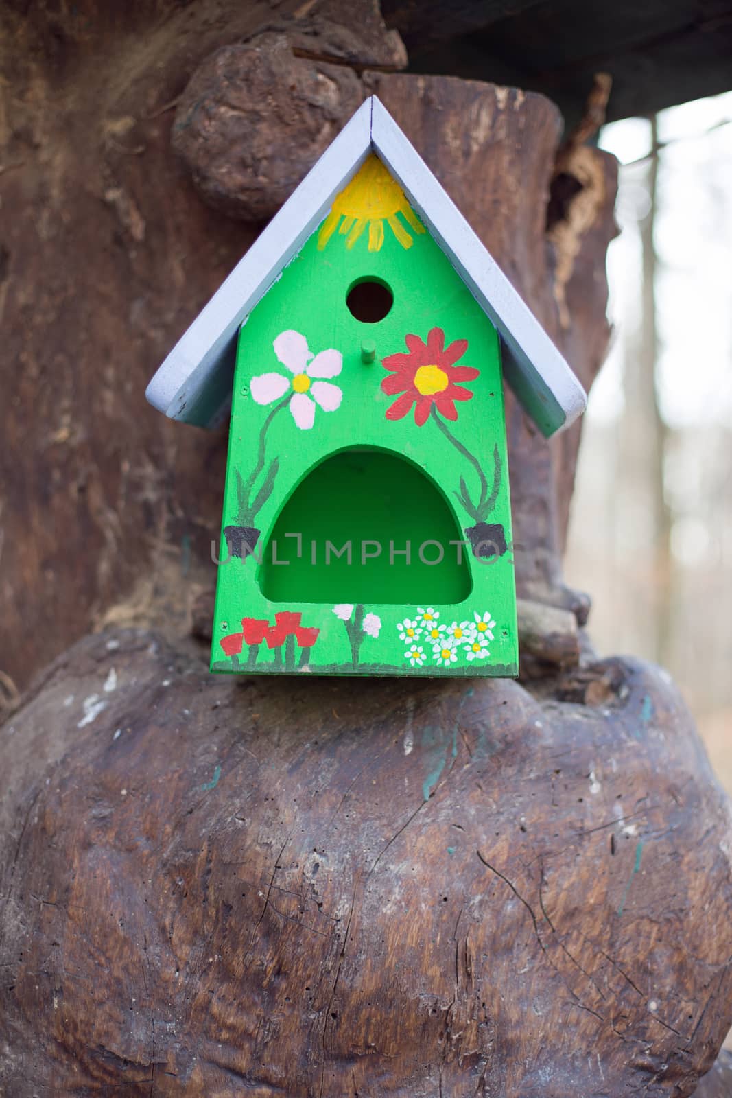 One little bird house on a tree trunk