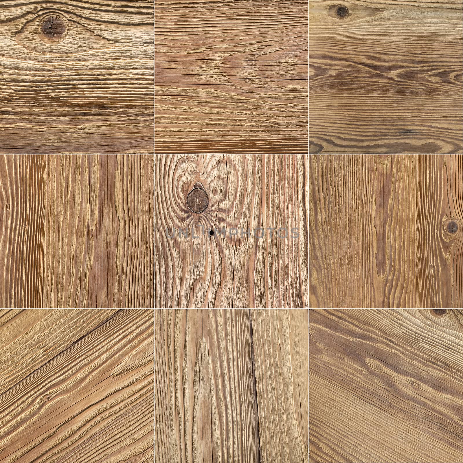 natural wood texture closeup by MegaArt