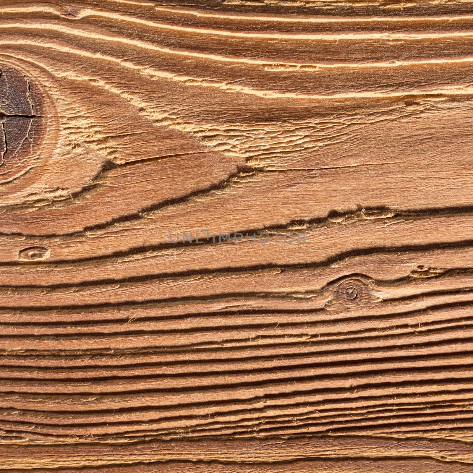 natural wood texture closeup by MegaArt