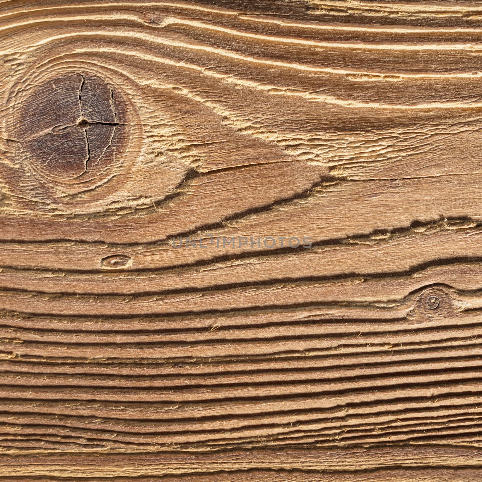 natural wood texture closeup by MegaArt