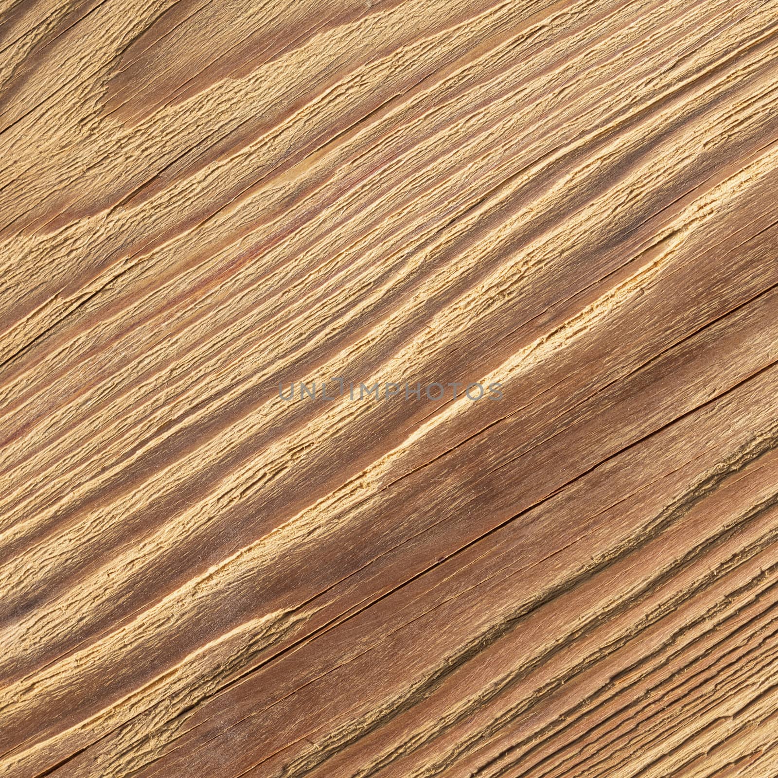 natural wood texture closeup by MegaArt