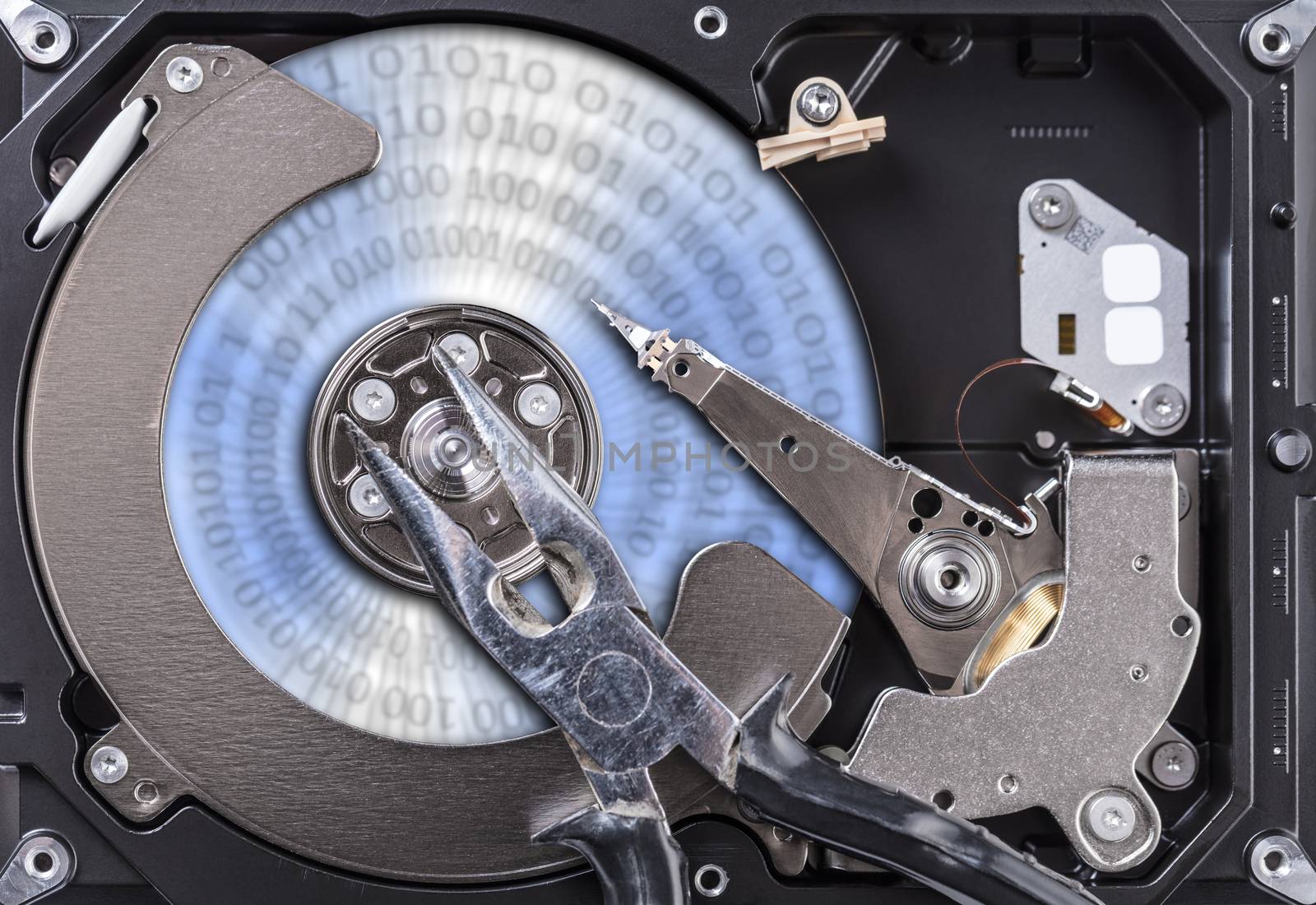 Disassembled computer hard disk and tool close-up