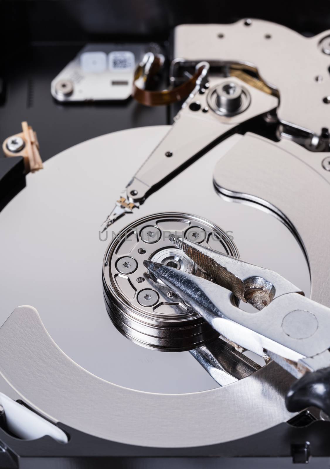 Disassembled computer hard disk and tool close-up