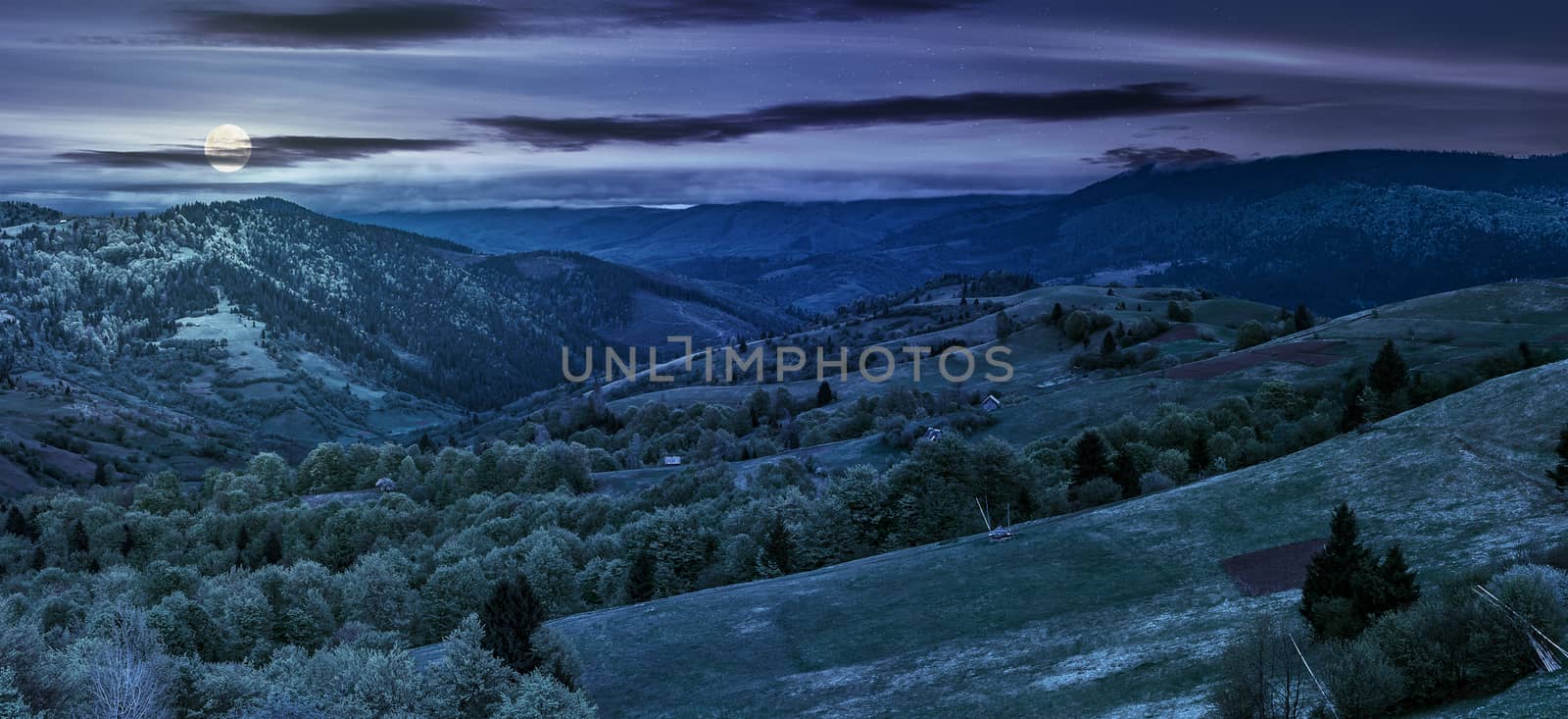 Panoramic rural landscape. forest in mountain rural area. green agricultural field on a hillside. beautiful summer scenery at night in full moon light