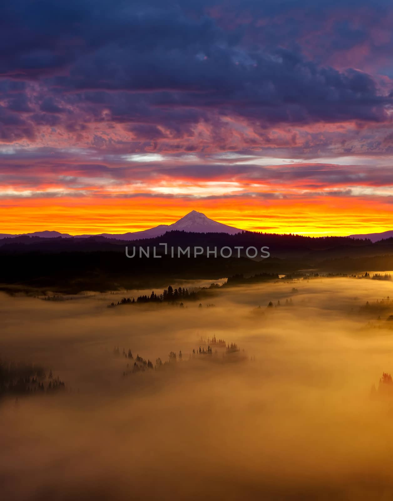Colorful Foggy Sunrise over Sandy River Valley by Davidgn