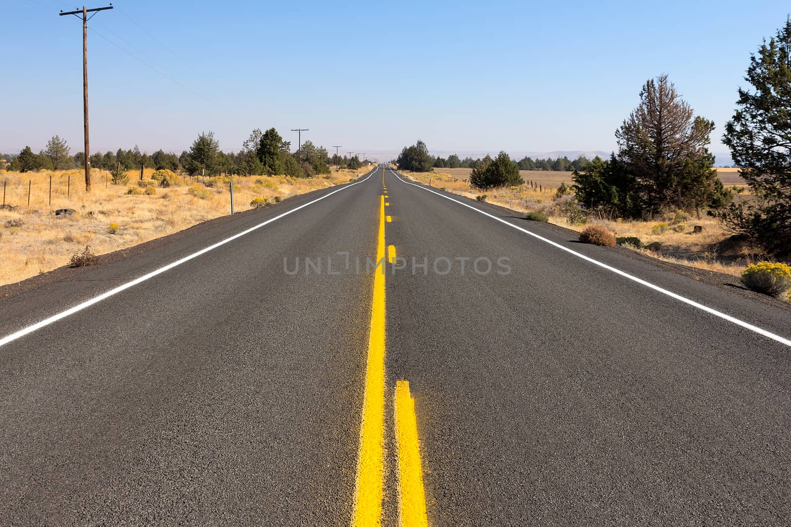 Highway in Central Oregon by Davidgn