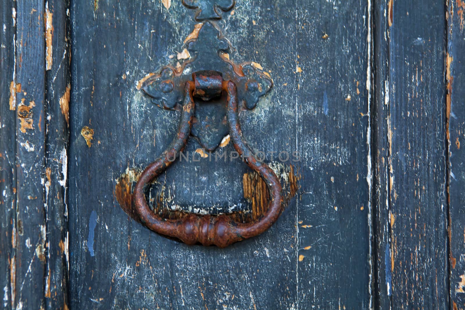 Brass  knocker on old wooden door in Lisbon