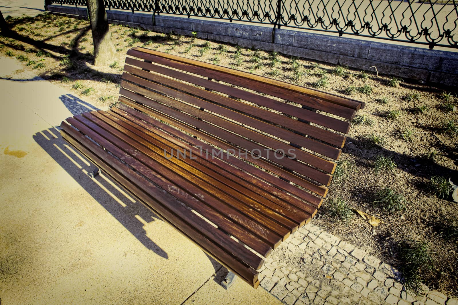 Lonely wooden bench in the park