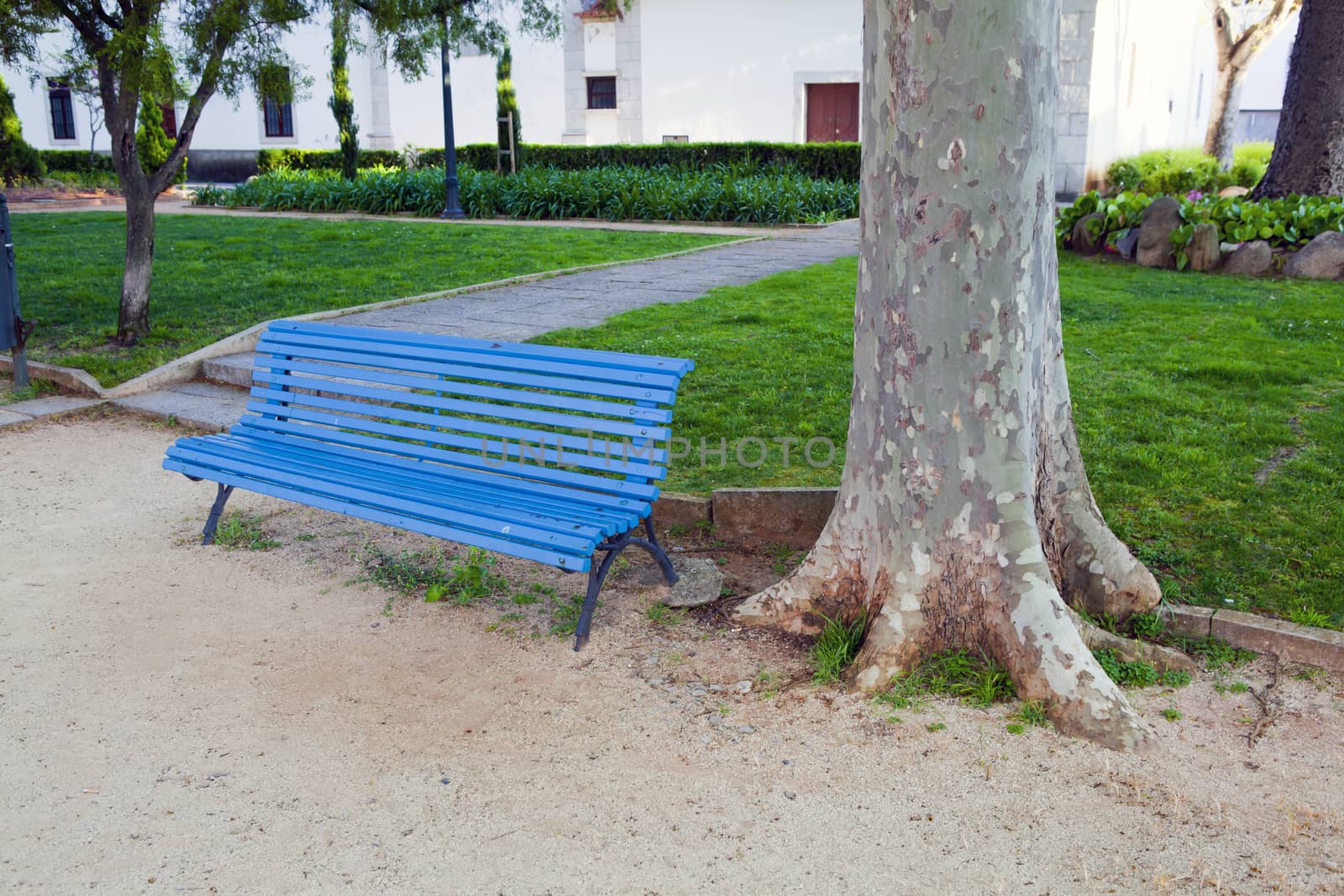 Lonely wooden bench in the park