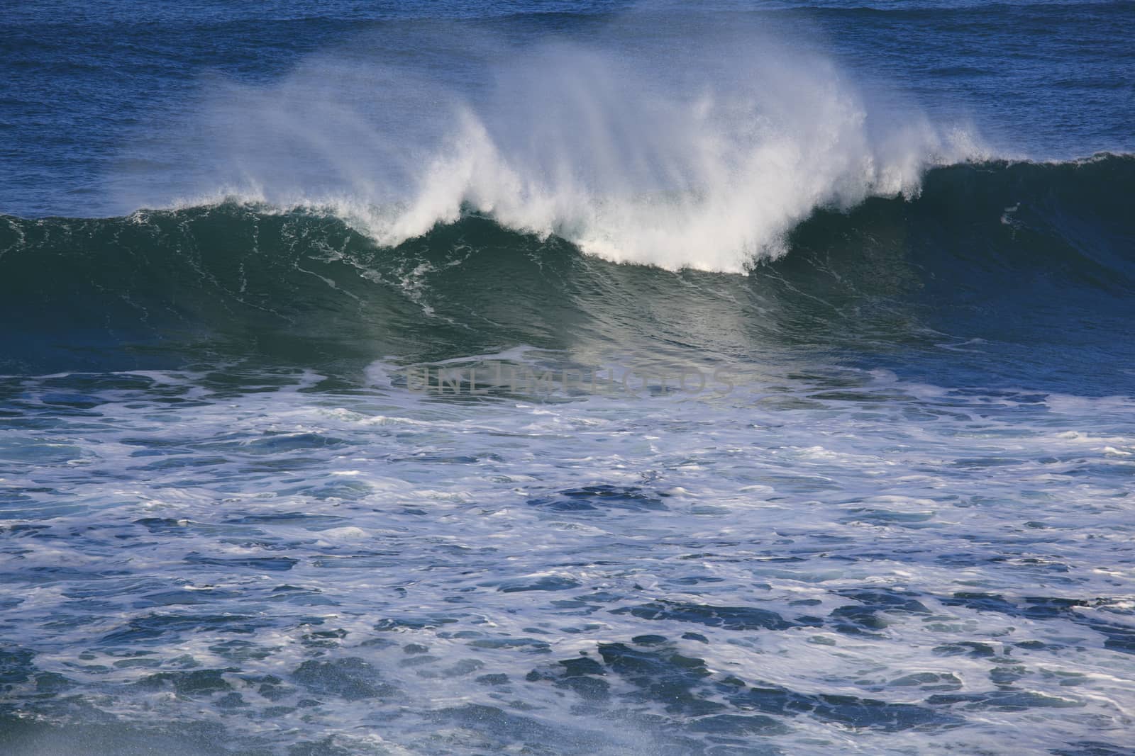 Sea surf great wave break on coastline