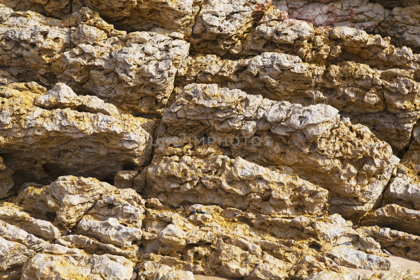 colorful texture of sea stone
