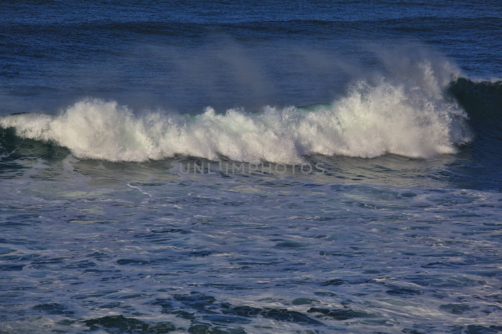 Sea surf great wave break on coastline