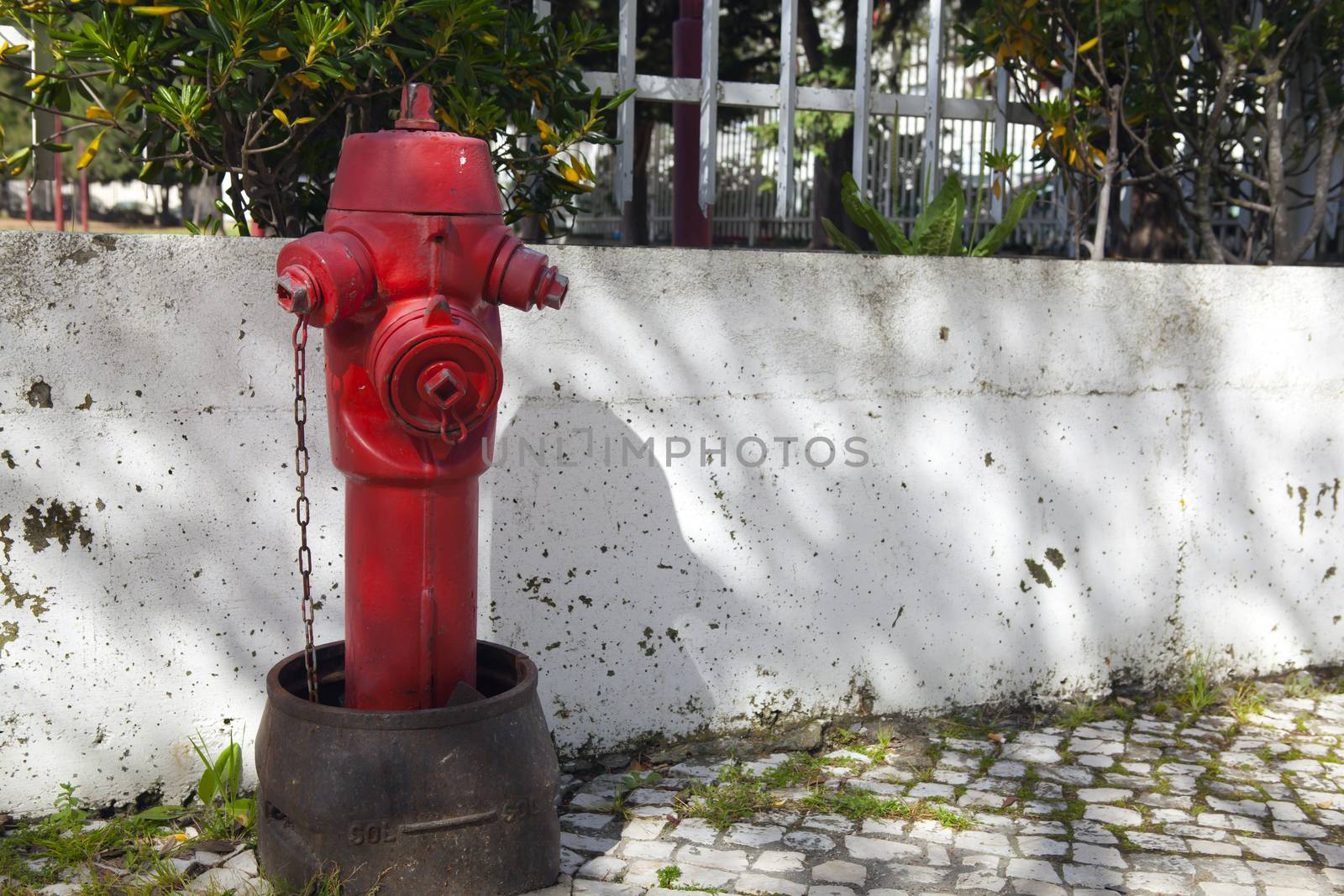 Red fire hydrant in  Lisbon Portugal by kalnenko