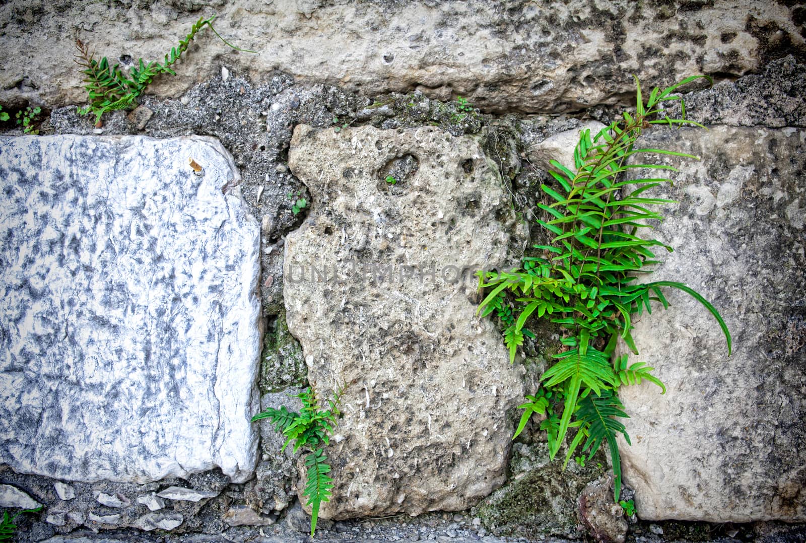 Part of a stone wall . Background or texture