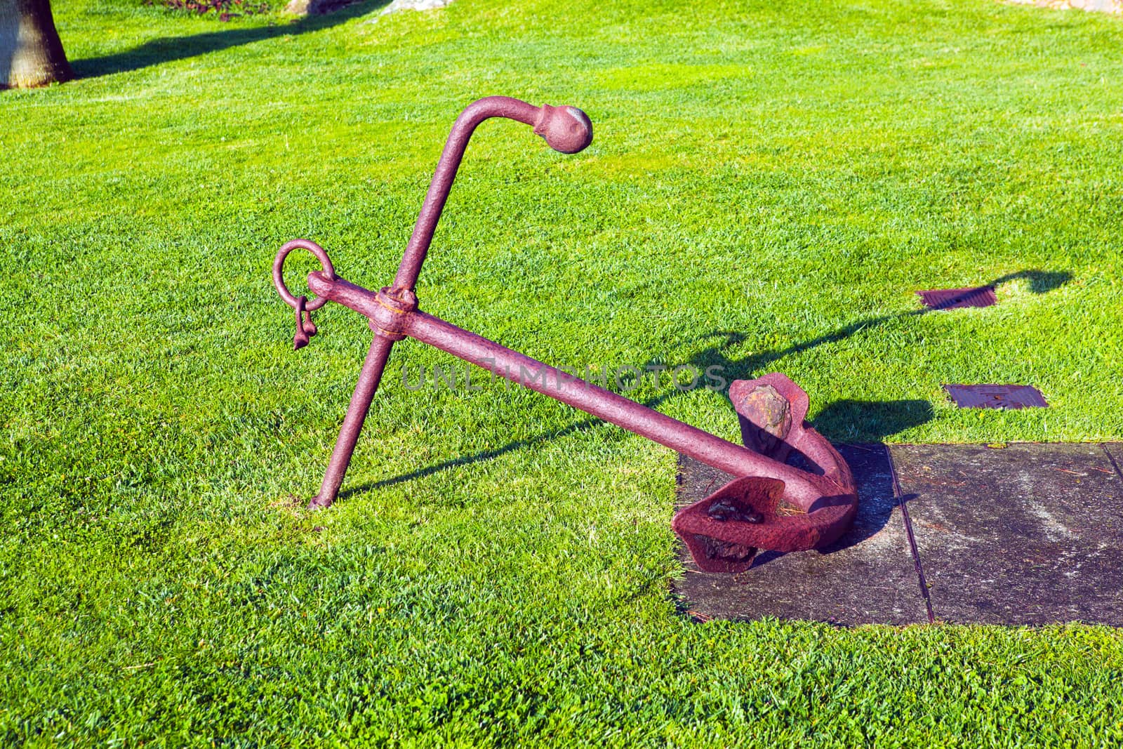 Rusty boat anchor on green grass 