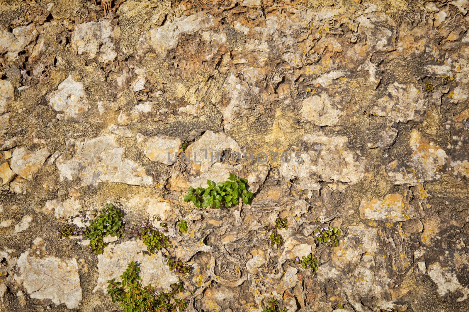 Part of a stone wall . Background or texture by kalnenko