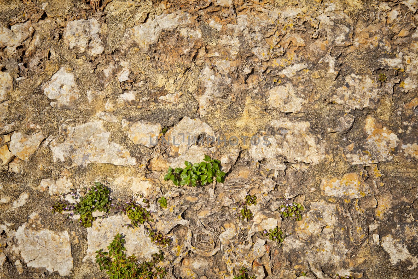 Part of a stone wall . Background or texture