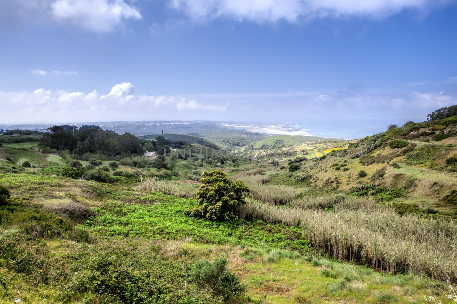 A wild lanscape of green grass and cloudy sky