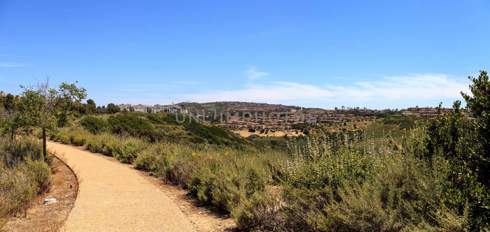 Green plants and dirt path of Bobcat Hiking Trail in Newport Beach, California in spring