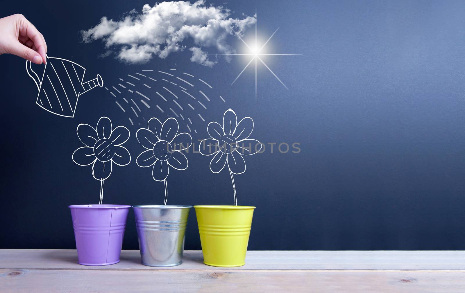 Drawing of spring daisies being watered over a chalkboard with space 