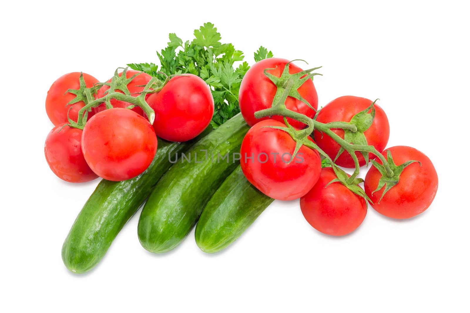 Three cucumbers and two branches of the ripe red tomatoes with droplets of dew on the parsley bundle on a light background
