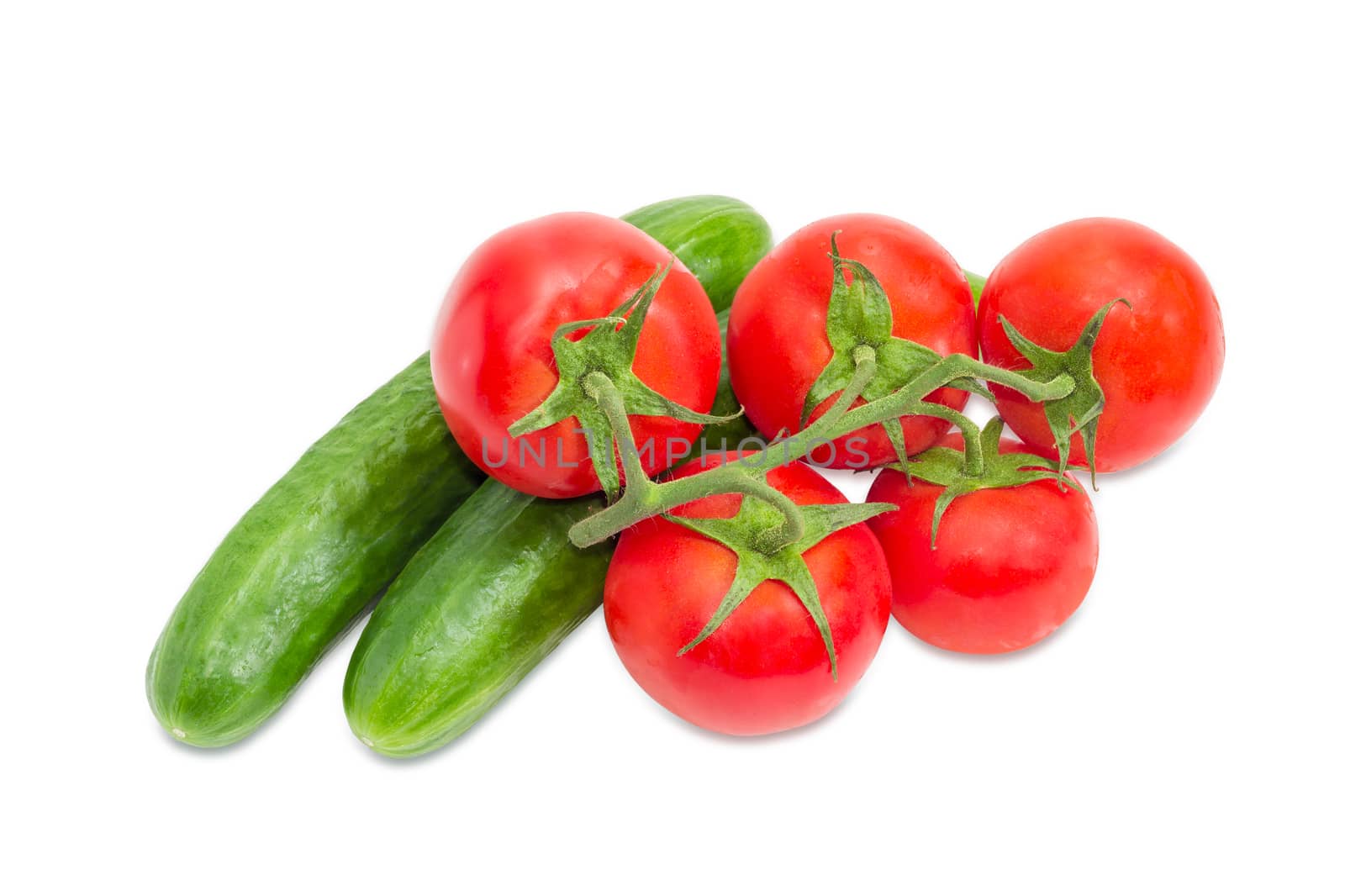 Two cucumbers and branch of the ripe red tomatoes with droplets of dew on a light background
